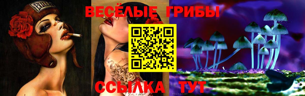Псилоцибиновые грибы мицелий  Вход с VPN  Воткинск  Псилоцибиновые грибы Psilocybine cubensis 